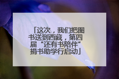 这次，我们把图书送到西藏，第四届“还有书陪伴”捐书助学行启动