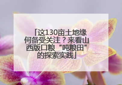 这130亩土地缘何备受关注？来看山西版口粮“吨粮田”的探索实践