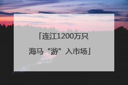 连江1200万只海马“游”入市场