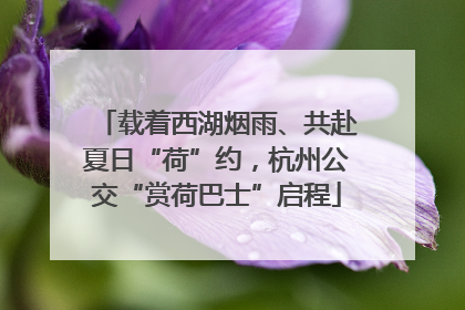 载着西湖烟雨、共赴夏日“荷”约，杭州公交“赏荷巴士”启程