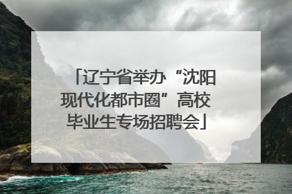 辽宁省举办“沈阳现代化都市圈”高校毕业生专场招聘会