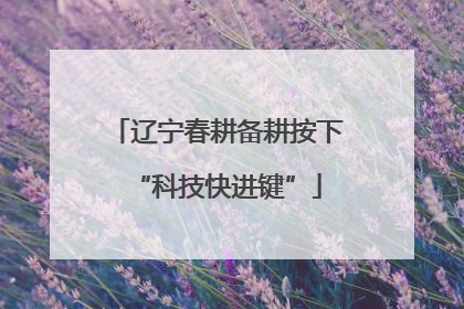 辽宁春耕备耕按下“科技快进键”