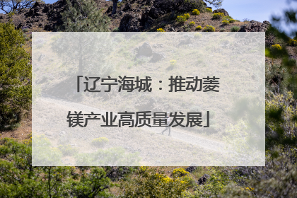 辽宁海城：推动菱镁产业高质量发展
