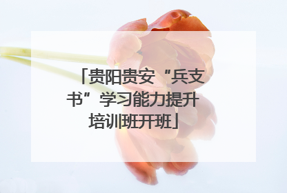 贵阳贵安“兵支书”学习能力提升培训班开班
