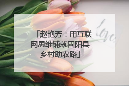 赵艳芳：用互联网思维铺就固阳县乡村助农路