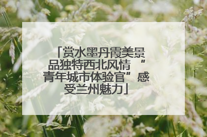 赏水墨丹霞美景 品独特西北风情 “青年城市体验官”感受兰州魅力