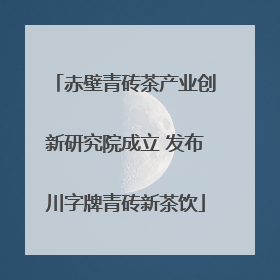 赤壁青砖茶产业创新研究院成立 发布川字牌青砖新茶饮