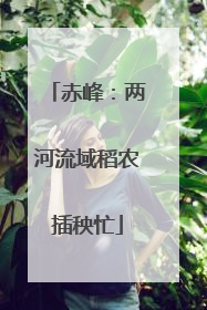 赤峰：两河流域稻农插秧忙