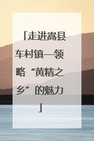 走进嵩县车村镇—领略“黄精之乡”的魅力