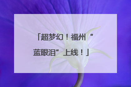 超梦幻！福州“蓝眼泪”上线！