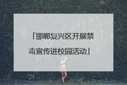 邯郸复兴区开展禁毒宣传进校园活动