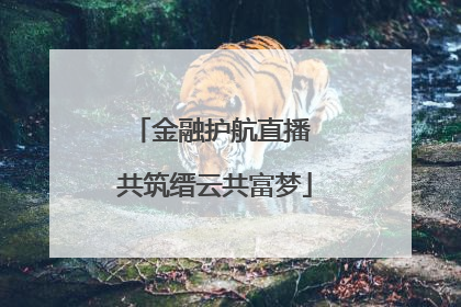 金融护航直播 共筑缙云共富梦