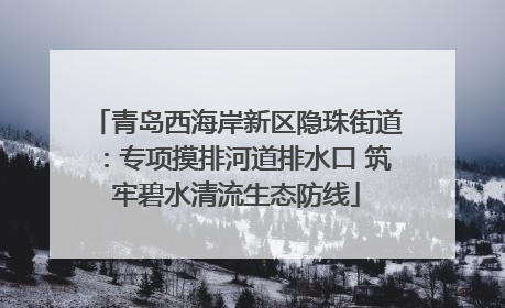 青岛西海岸新区隐珠街道：专项摸排河道排水口 筑牢碧水清流生态防线