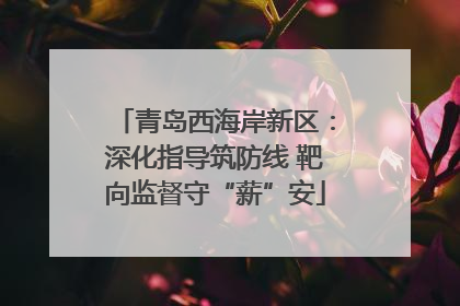 青岛西海岸新区：深化指导筑防线 靶向监督守“薪”安