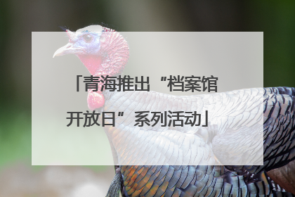 青海推出“档案馆开放日”系列活动