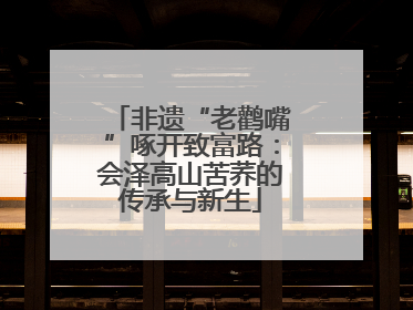 非遗“老鹳嘴”啄开致富路：会泽高山苦荞的传承与新生