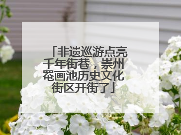 非遗巡游点亮千年街巷，崇州罨画池历史文化街区开街了