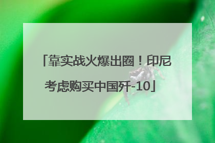 靠实战火爆出圈！印尼考虑购买中国歼-10