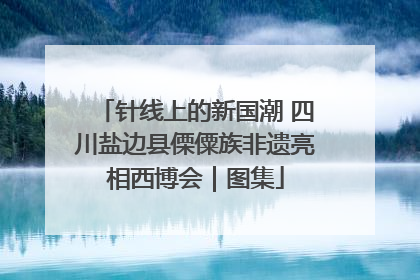 针线上的新国潮 四川盐边县傈僳族非遗亮相西博会｜图集
