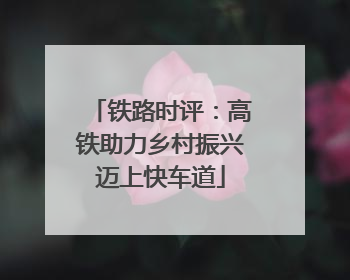 铁路时评：高铁助力乡村振兴迈上快车道