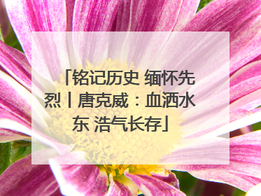 铭记历史 缅怀先烈丨唐克威：血洒水东 浩气长存