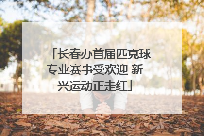长春办首届匹克球专业赛事受欢迎 新兴运动正走红