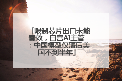 限制芯片出口未能奏效，白宫AI主管：中国模型仅落后美国不到半年