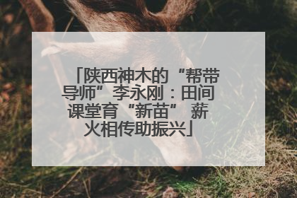 陕西神木的“帮带导师”李永刚：田间课堂育“新苗” 薪火相传助振兴