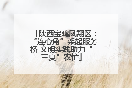 陕西宝鸡凤翔区：“连心角”架起服务桥 文明实践助力“三夏”农忙