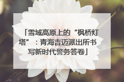 雪域高原上的“枫桥灯塔”：青海吉迈派出所书写新时代警务答卷