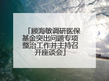 顾海敏调研医保基金突出问题专项整治工作并主持召开座谈会