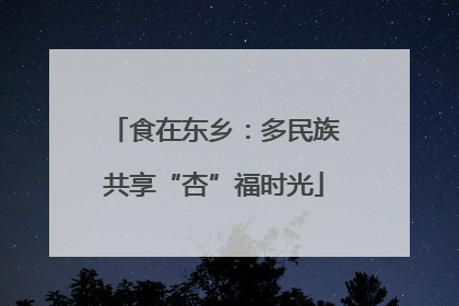 食在东乡：多民族共享“杏”福时光