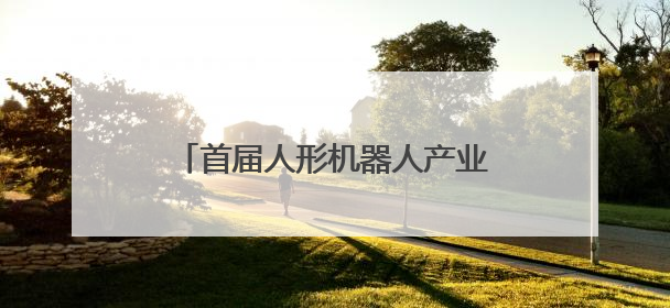 首届人形机器人产业链接会在杭州举办