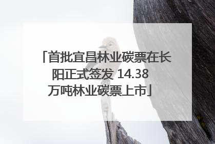 首批宜昌林业碳票在长阳正式签发 14.38万吨林业碳票上市