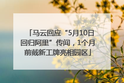 马云回应“5月10日回归阿里”传闻，1个月前戴新工牌亮相园区