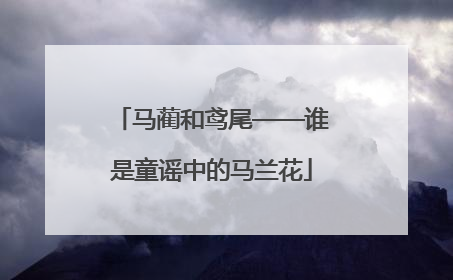 马蔺和鸢尾——谁是童谣中的马兰花