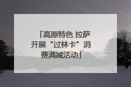 高原特色 拉萨开展“过林卡”消费满减活动