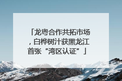 龙粤合作共拓市场,白桦树汁获黑龙江首张“湾区认证”
