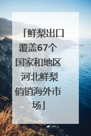 鲜梨出口覆盖67个国家和地区 河北鲜梨俏销海外市场