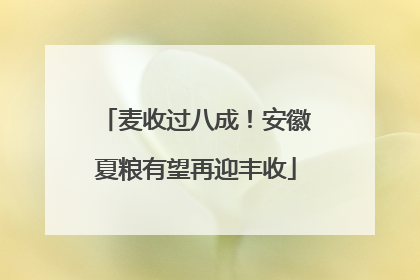 麦收过八成！安徽夏粮有望再迎丰收