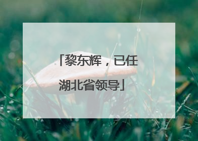 黎东辉，已任湖北省领导