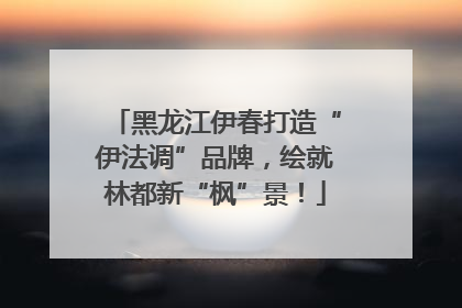 黑龙江伊春打造“伊法调”品牌，绘就林都新“枫”景！