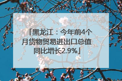 黑龙江：今年前4个月货物贸易进出口总值同比增长2.9%