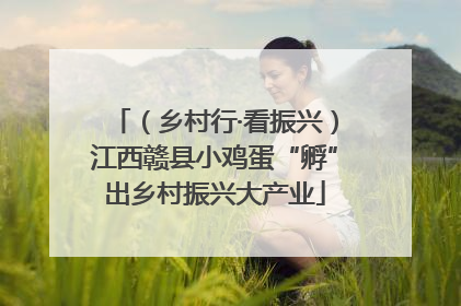（乡村行·看振兴）江西赣县小鸡蛋“孵”出乡村振兴大产业