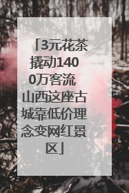 3元花茶撬动1400万客流 山西这座古城靠低价理念变网红景区