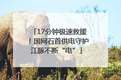 17分钟极速救援！国网石首供电守护江豚不断“电”