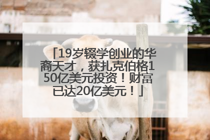 19岁辍学创业的华裔天才，获扎克伯格150亿美元投资！财富已达20亿美元！