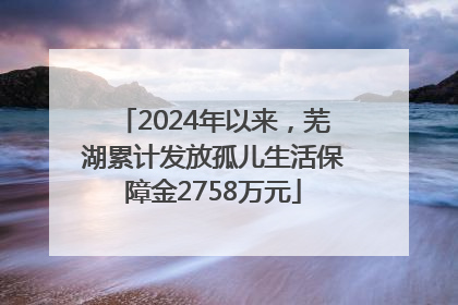 2024年以来，芜湖累计发放孤儿生活保障金2758万元