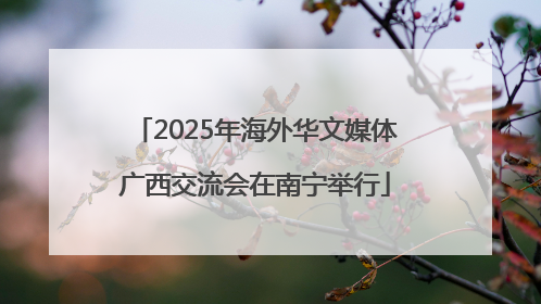 2025年海外华文媒体广西交流会在南宁举行