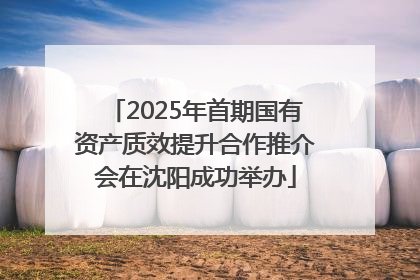 2025年首期国有资产质效提升合作推介会在沈阳成功举办